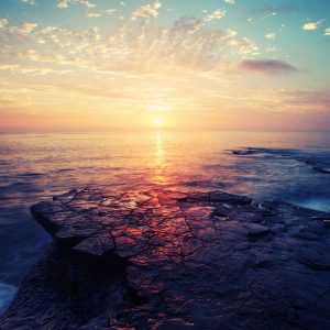 WordPress网站有什么样的优势，为什么使用wordpress建立品牌官网