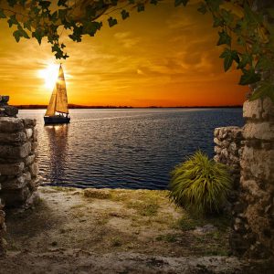 WordPress网站有什么样的优势，为什么使用wordpress建立品牌官网